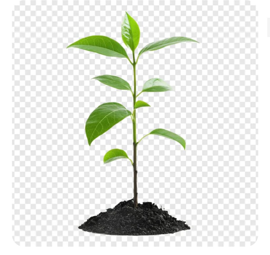 WhatsApp Image 2026-01-22 at 10.02.58