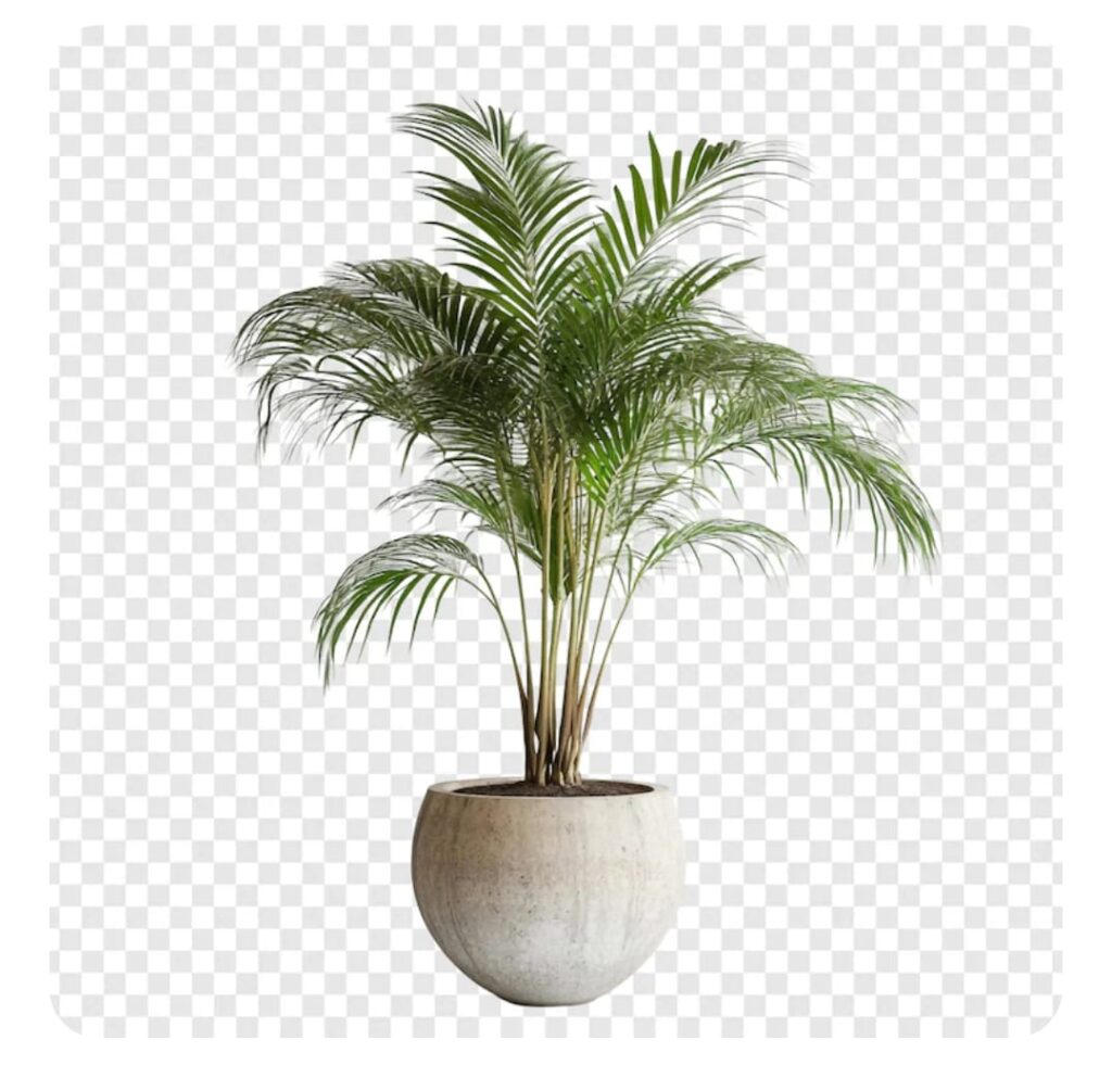 WhatsApp Image 2026-01-22 at 10.02.58 (2)