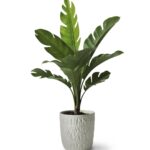 WhatsApp Image 2026-01-22 at 10.02.59 (2)