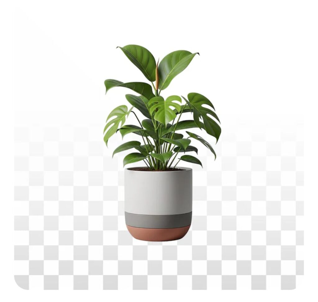 WhatsApp Image 2026-01-22 at 10.03.00