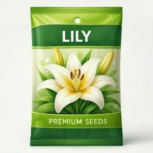 Lily seed